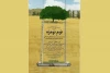 نوم نومزه