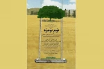 نوم نومزه