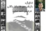 جشنواره امسال از سطح کیفی بسیار بالایی برخوردار است 2