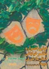 اولین جشنواره تئاتر خیابانی استان مازندران 3