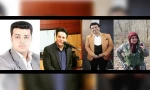 داوران اولین جشنواره مجازی استند اپ کمدی لبخند قو معرفی شدند  2