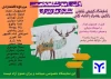 نمایشگله گروهی نقاشی زاگرس همراه با قصه گویی
 3