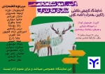 نمایشگله گروهی نقاشی زاگرس همراه با قصه گویی
 3