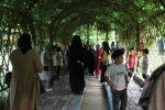 گزارش تصویری نمایشگاه گروهی نقاشی زاگرس همراه با قصه گویی