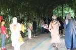 گزارش تصویری نمایشگاه گروهی نقاشی زاگرس همراه با قصه گویی