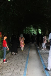 گزارش تصویری نمایشگاه گروهی نقاشی زاگرس همراه با قصه گویی