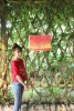 گزارش تصویری نمایشگاه گروهی نقاشی زاگرس همراه با قصه گویی