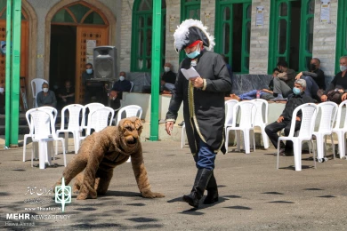 تعزیه خوانی عاشورای حسینی در سوادکوه برگزار شد