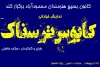 نمایش خیابانی 