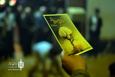مغزهای کادو پیچ شده از  نگاه دوربین ولی  الله قاسمی