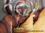 بیانیه انجمن هنرهای نمایشی مازندران در محکومیت حمله رژیم صهیونیستی؛ 2